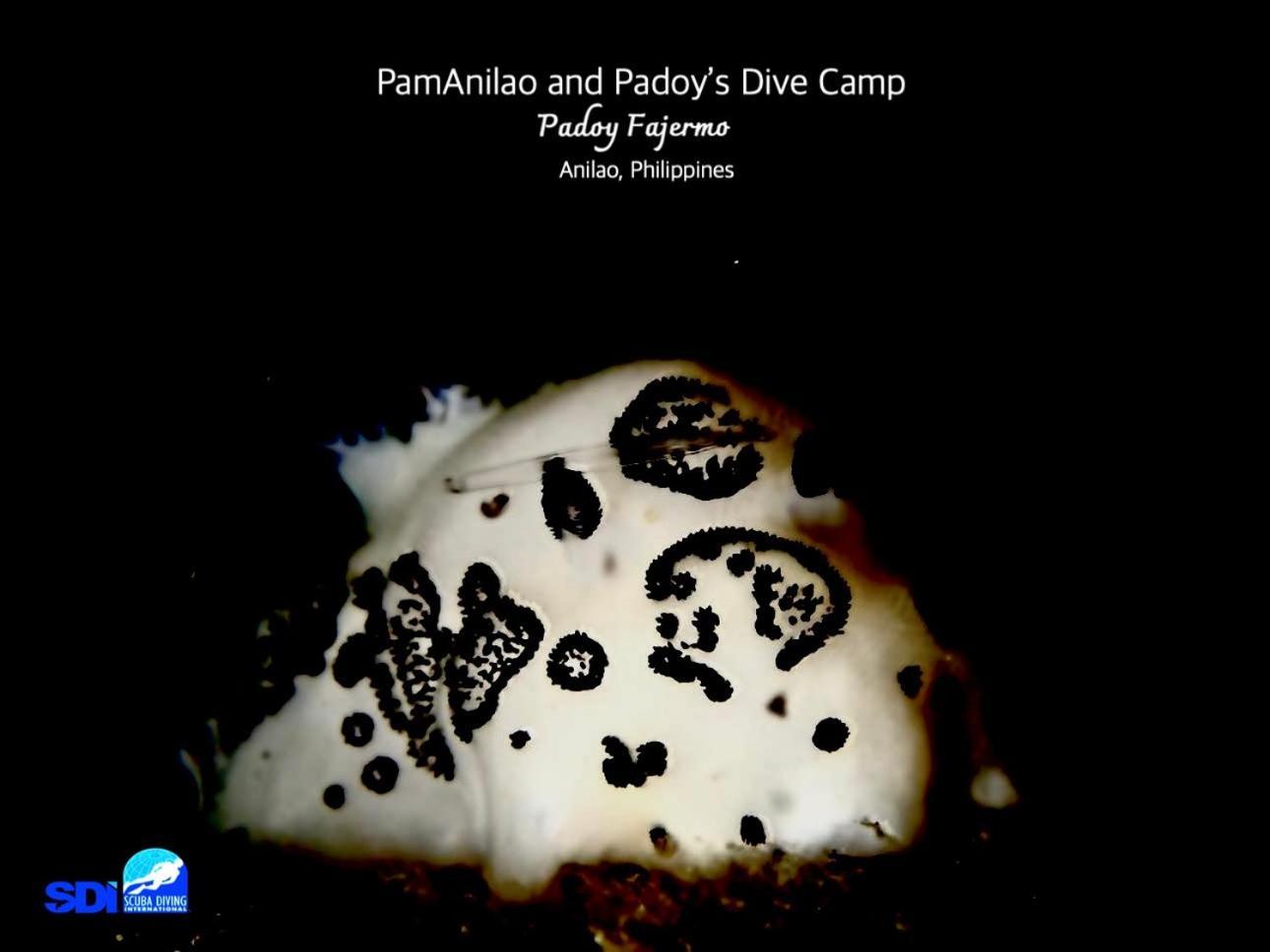 Готель Pamanilao And Padoy'S Dive Camp Batangas Екстер'єр фото